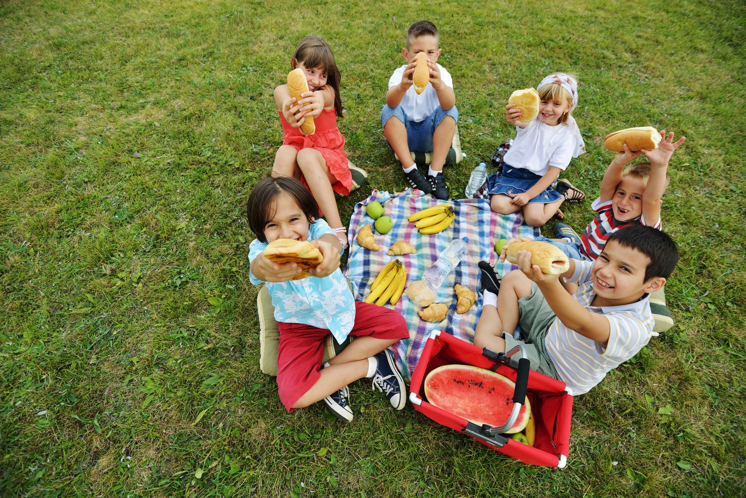 Children Having Picnic 